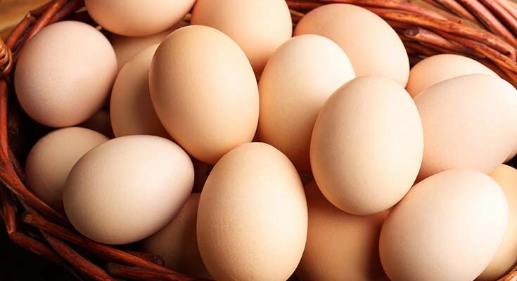 Полезные свойства куриных яиц